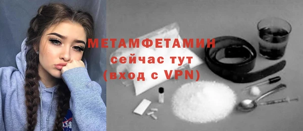 индика Кулебаки