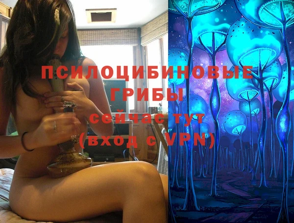 ешки Нея