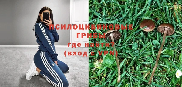 стафф Нефтегорск